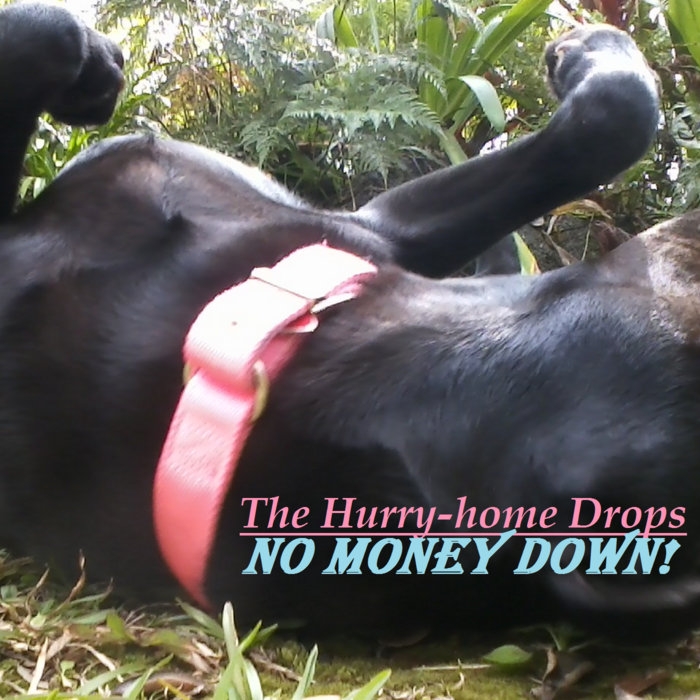 No Money Down! No Money Down!