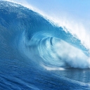 photo thumbnail