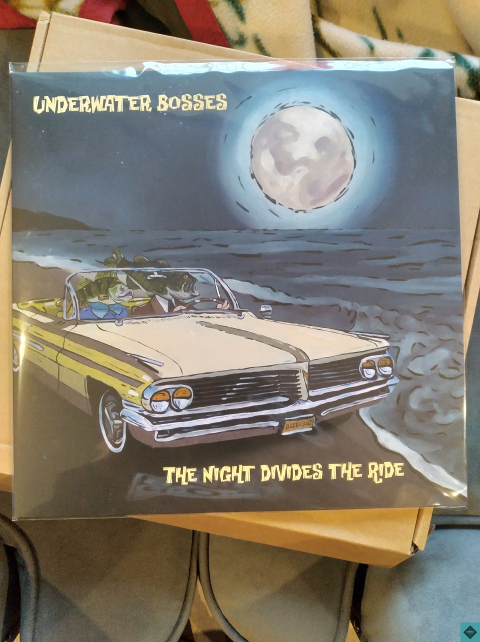 NOW SHIPPING FROM THE USA: The Night Divides the Ride is the second full length album by Underwater Bosses. Recorded in 2020/21 in Syracuse, NY, featuring 12 tracks of high energy instrumental surf. Join the Bosses as they take you along on their journey of the never ending ride. Vinyl, CD and digital download available now. Add it to your collection today - https://underwaterbosses.bandcamp.com/album/the-night-divides-the-ride#underwaterbosses  #sharawajirecords #independentrecordlabel #vinyl #surfvinyl #surfmusic #horrorsurf #instrumental #monstromental #surfrock #syracuse #fender #fenderstratocaster #stratocaster  #surf #instro #reverb #twang